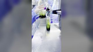 Natural Ginseng Cleansing Oil Dissolve Makeup Instantly