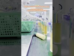 Natural Anti Aging Skin Repair Serum