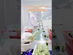 Korean Vegan Pumpkin Retinol Cream for Ageless Skin