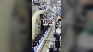 Resveratrol Anti Aging Serum OEM ODM